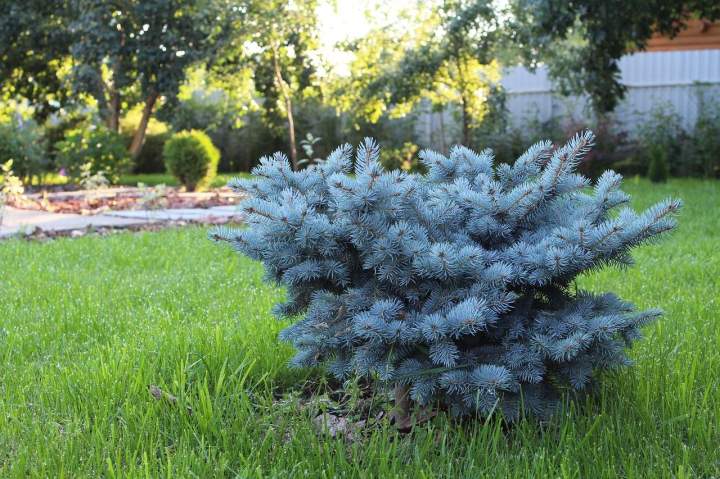 How Can Landscaping Enhance My Property's Value?<br>In What Ways Can Professional Landscaping Improve My Home’s Market Worth?<br>How Does Strategic Landscaping Contribute To A Property's Increased Valuation?